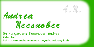 andrea mecsnober business card